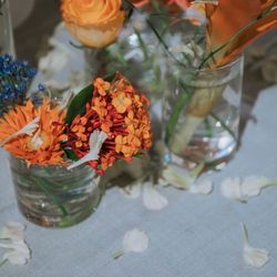 マキシマニスの写真22枚目