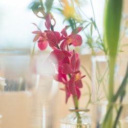 Mia Viaの写真4枚目