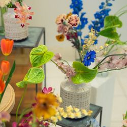 Mia Viaの写真13枚目