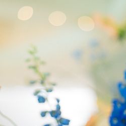 Mia Viaの写真8枚目