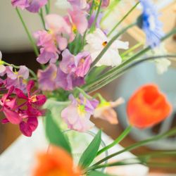 Mia Viaの写真3枚目