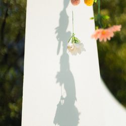 Mia Viaの写真21枚目