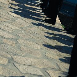 Mia Viaの写真16枚目