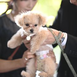 TRUNK HOTELの写真12枚目