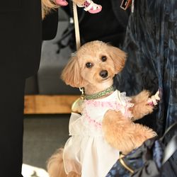 TRUNK HOTELの写真18枚目