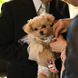 TRUNK HOTELの写真21枚目