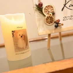 TRUNK HOTELの写真16枚目