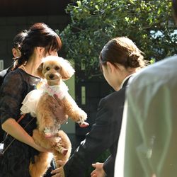 TRUNK HOTELの写真12枚目