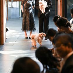 TRUNK HOTELの写真19枚目