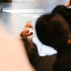 TRUNK HOTELの写真32枚目