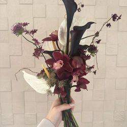 Mia Viaの写真30枚目