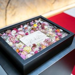 Mia Viaの写真29枚目