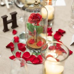 ハートコート横浜の写真20枚目