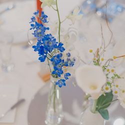 ブランリール大阪の写真9枚目