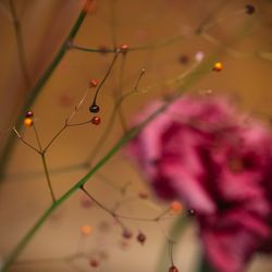 Mia Viaの写真3枚目