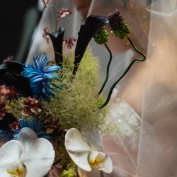 Mia Viaの写真20枚目