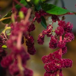 Mia Viaの写真7枚目