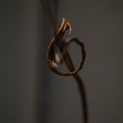 Mia Viaの写真31枚目