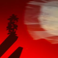 Mia Viaの写真25枚目