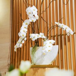 TRUNK HOTELの写真20枚目