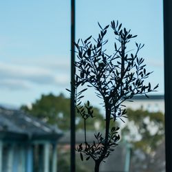 THE SORAKUEN の写真19枚目