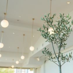 THE SORAKUEN の写真15枚目