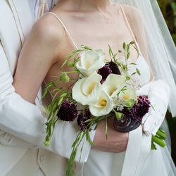 クラシカ表参道の写真28枚目