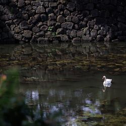 パレスホテル東京の写真12枚目