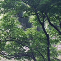 パレスホテル東京の写真5枚目