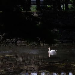 パレスホテル東京の写真36枚目