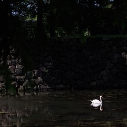 パレスホテル東京の写真18枚目