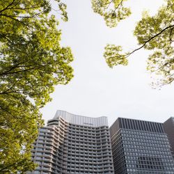 パレスホテル東京の写真24枚目