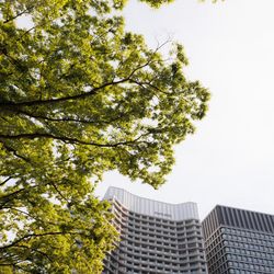 パレスホテル東京の写真11枚目