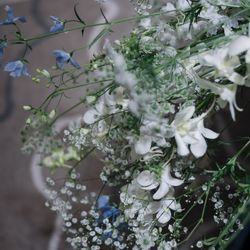 パレスホテル東京の写真16枚目