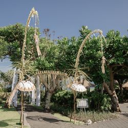 バレクンチャナの写真5枚目