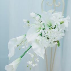 アニヴェルセル 白壁の写真1枚目