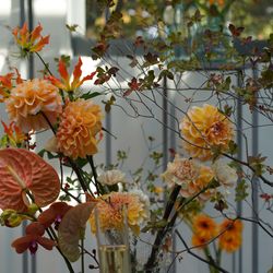 TRUNK HOTELの写真17枚目