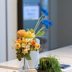 ルーキスの写真3枚目