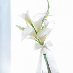 サントフェリーチェの写真4枚目