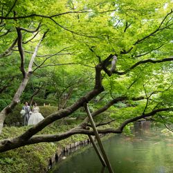 八芳園の写真6枚目