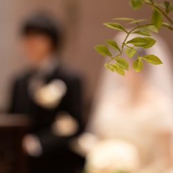 グランドニッコー東京 台場の写真9枚目