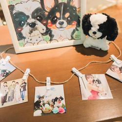 宮の森フランセス教会の写真14枚目