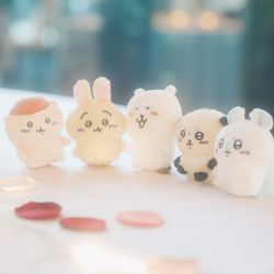 宮の森フランセス教会の写真14枚目