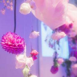 宮の森フランセス教会の写真29枚目