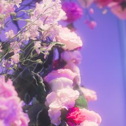 宮の森フランセス教会の写真29枚目