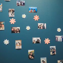 宮の森フランセス教会の写真16枚目