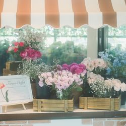 宮の森フランセス教会の写真3枚目