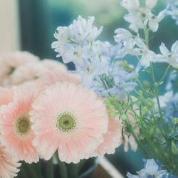 宮の森フランセス教会の写真29枚目