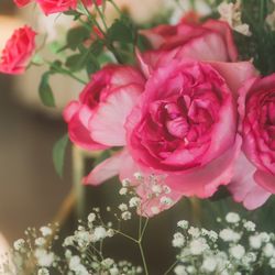 宮の森フランセス教会の写真25枚目