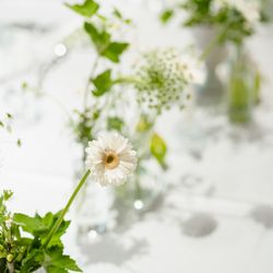 クルヴェット名古屋の写真27枚目